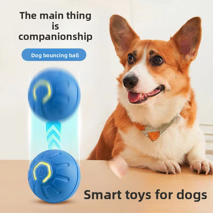 Pet ball electric dog toy