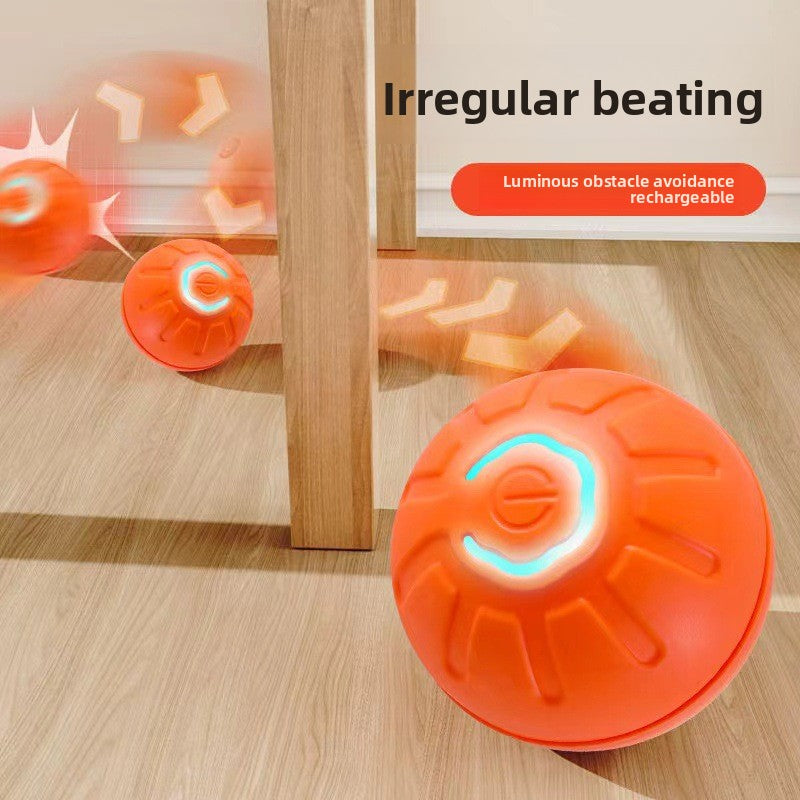 Pet ball electric dog toy