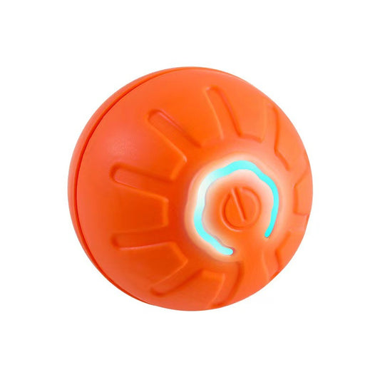 Pet ball electric dog toy