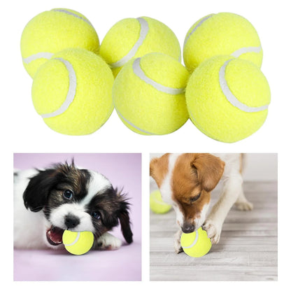 Pet Ball Launcher