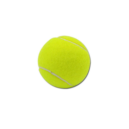Pet Ball Launcher