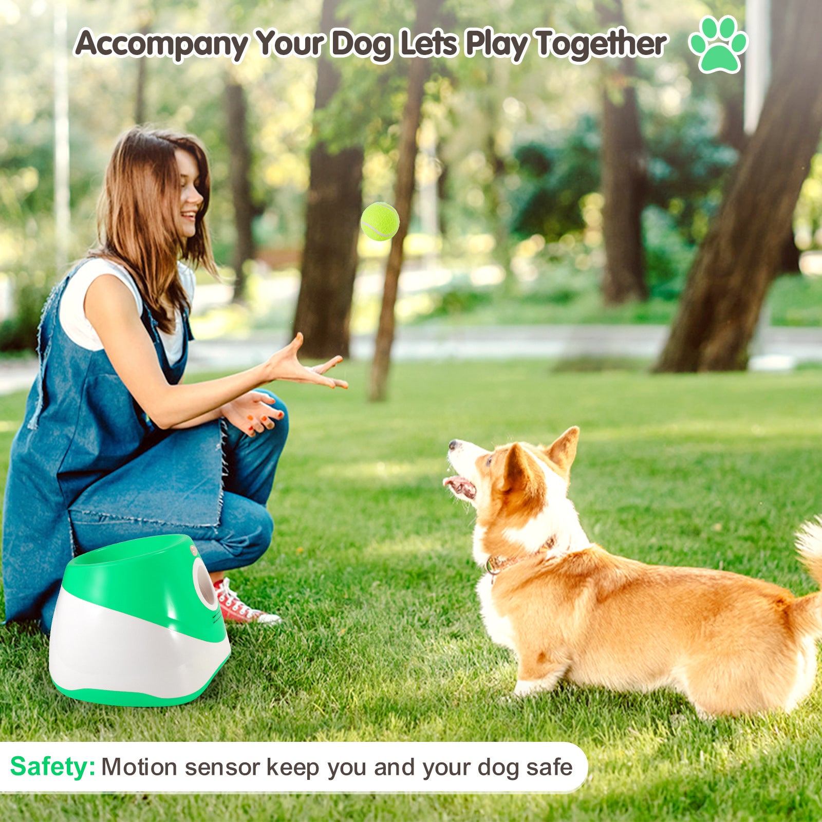 Pet ball launcher