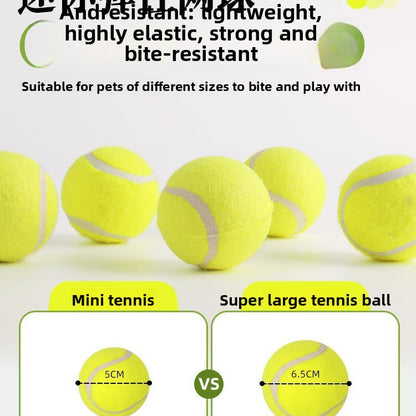 Pet ball throwing machine launcher