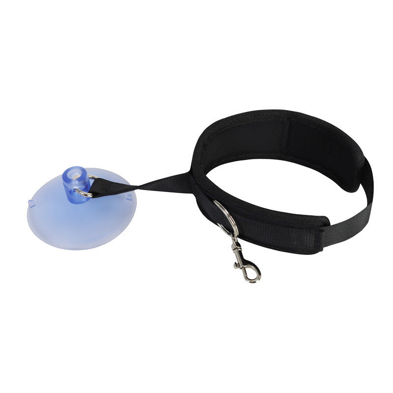 Pet Bathing Fixed Rope