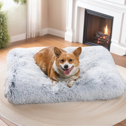 Pet bed