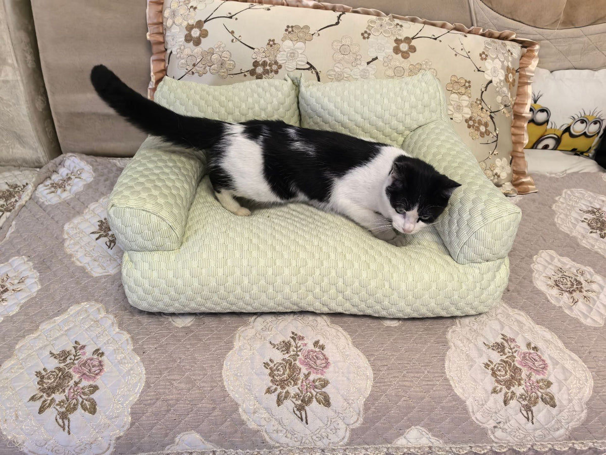 Pet bed - Small-sized dog bed