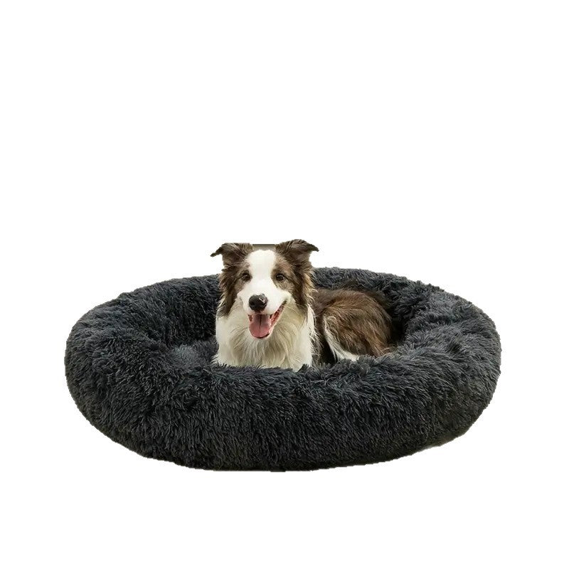 Pet bed