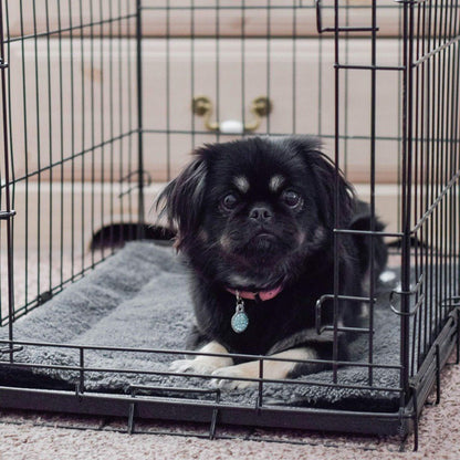 pet bed