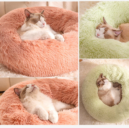 Pet Bed