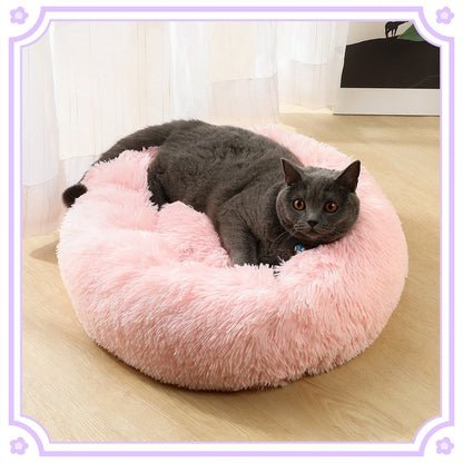 Pet Bed