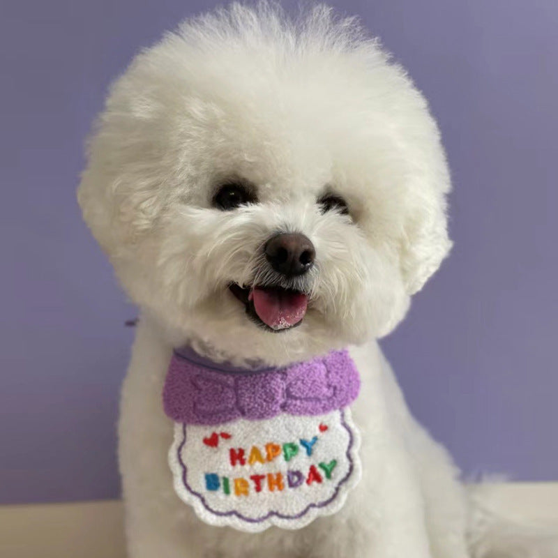 Pet birthday hat & bib