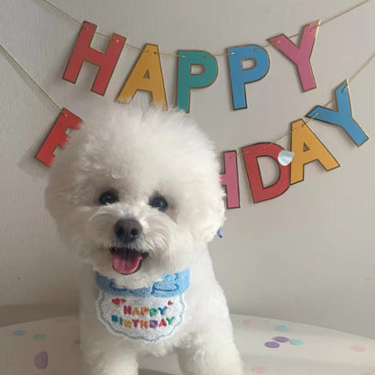 Pet birthday hat & bib