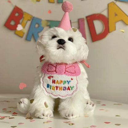 Pet birthday hat & bib