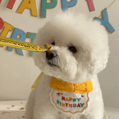 Pet birthday hat & bib