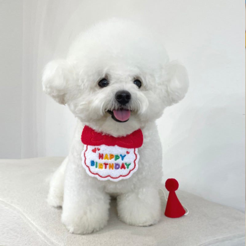 Pet birthday hat & bib