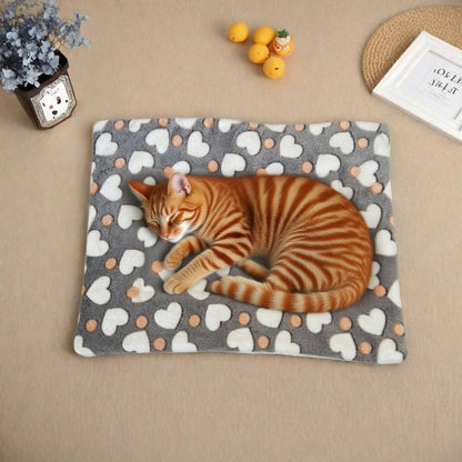 Pet Blanket Mat