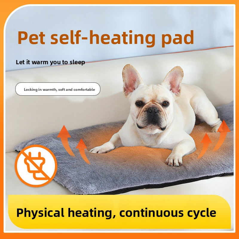 Pet blanket