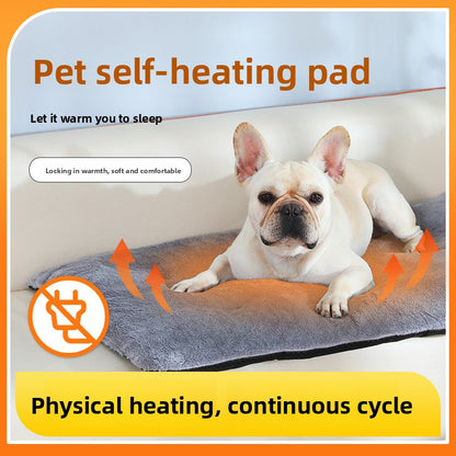 Pet blanket