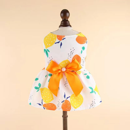 Pet Bow Print Dress