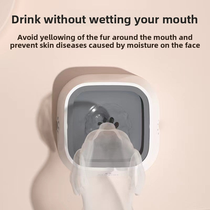 Pet bowl - Dog drinking bowl