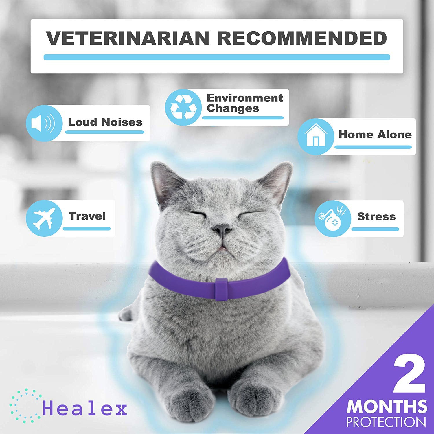 Pet Calming Collar