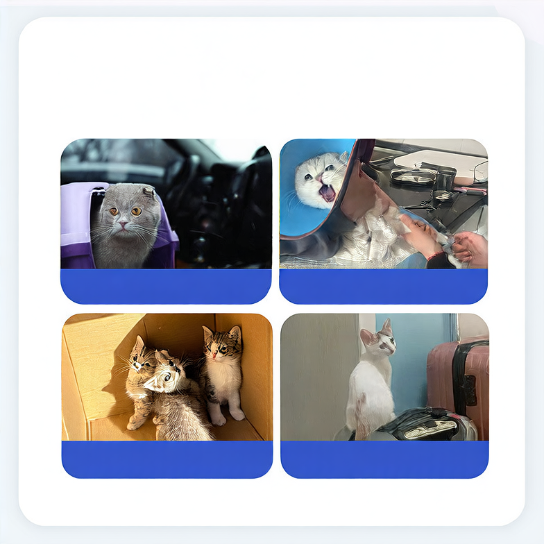 Pet Calming Patch