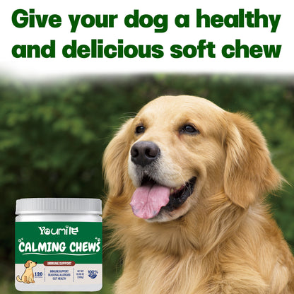 Pet Calming Supplement