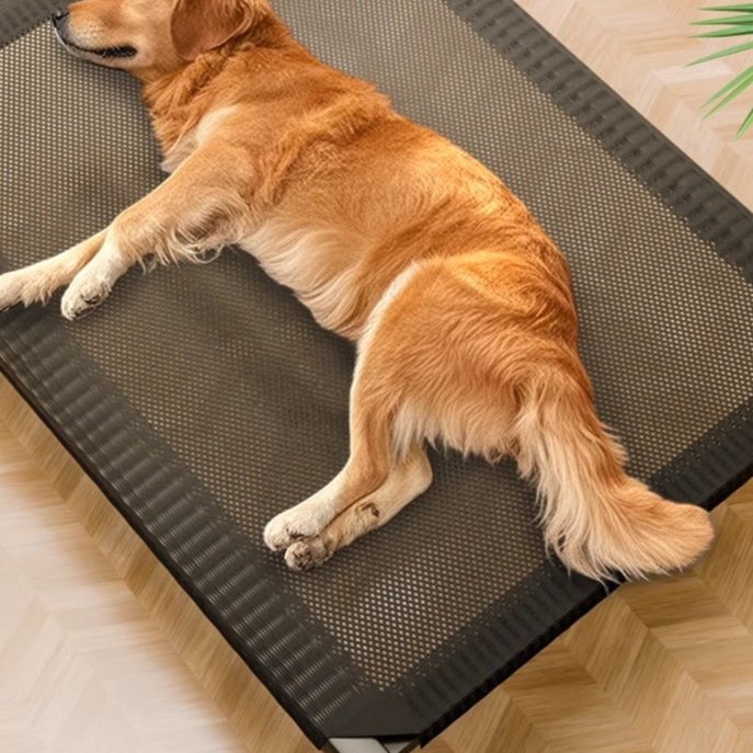 Pet Camp Bed