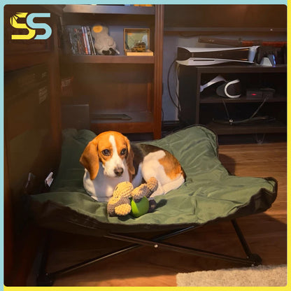 Pet Camp Bed