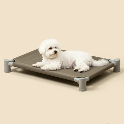 Pet camp bed