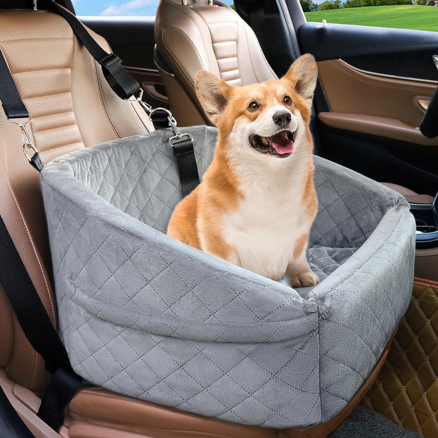 Pet car package with full seats