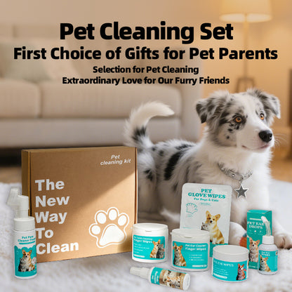 Pet Care Wet Wipes