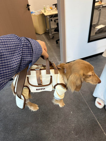 Pet Carrier Bag