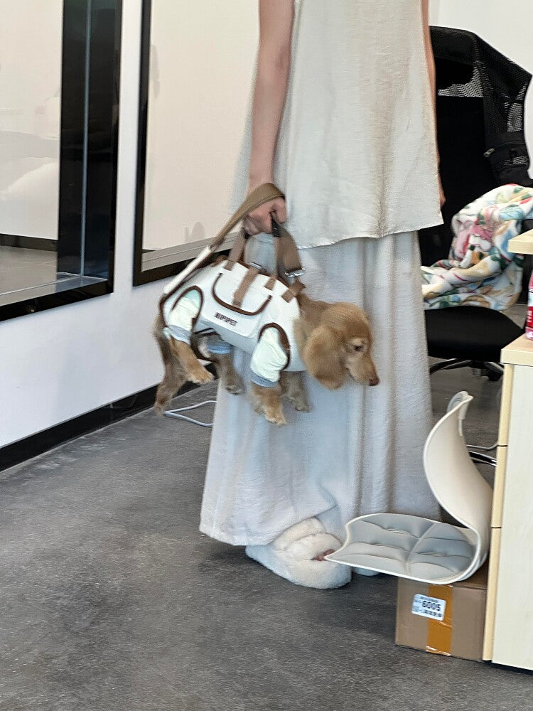 Pet Carrier Bag