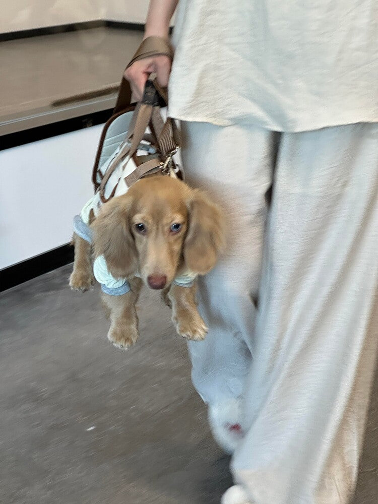 Pet Carrier Bag
