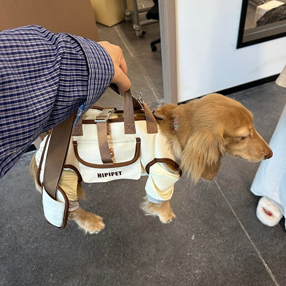Pet Carrier Bag