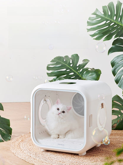 Pet cat bathing and drying machine