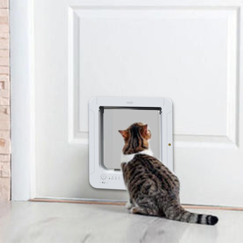 Pet Cat Door