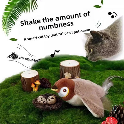 Pet Cat Toy
