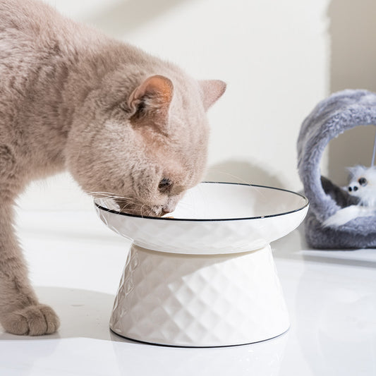 Pet ceramic cat Basin