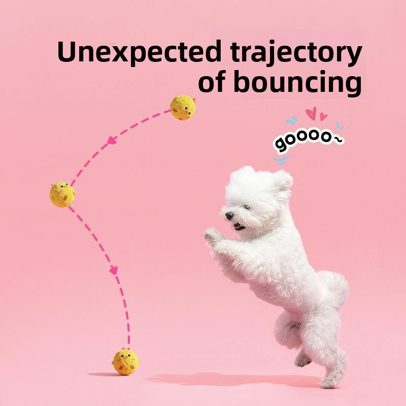 Pet Chew Toy