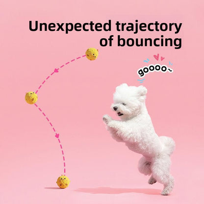 Pet Chew Toy