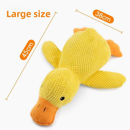 Pet Chew Toy