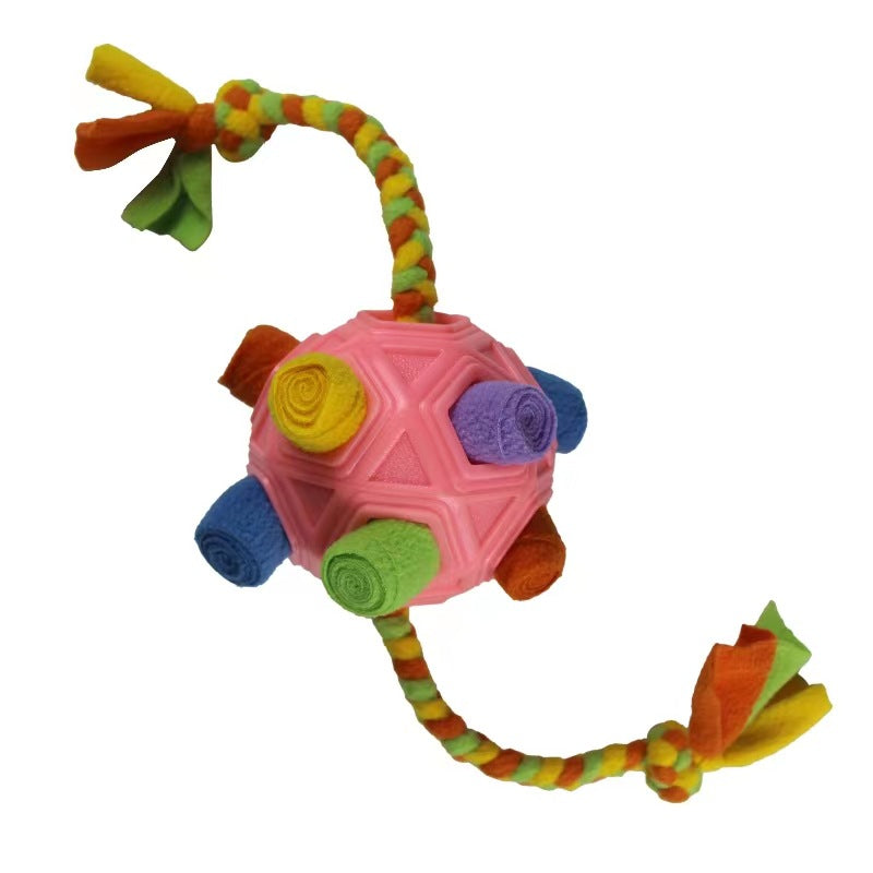 Pet Chew Toy