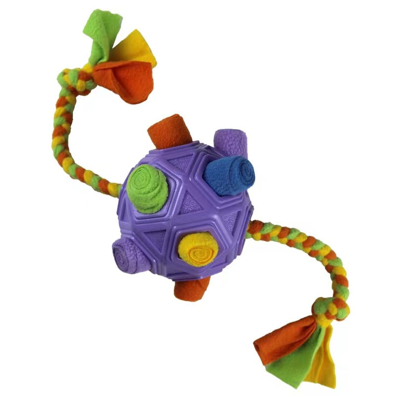 Pet Chew Toy