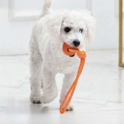 Pet Chew Toy