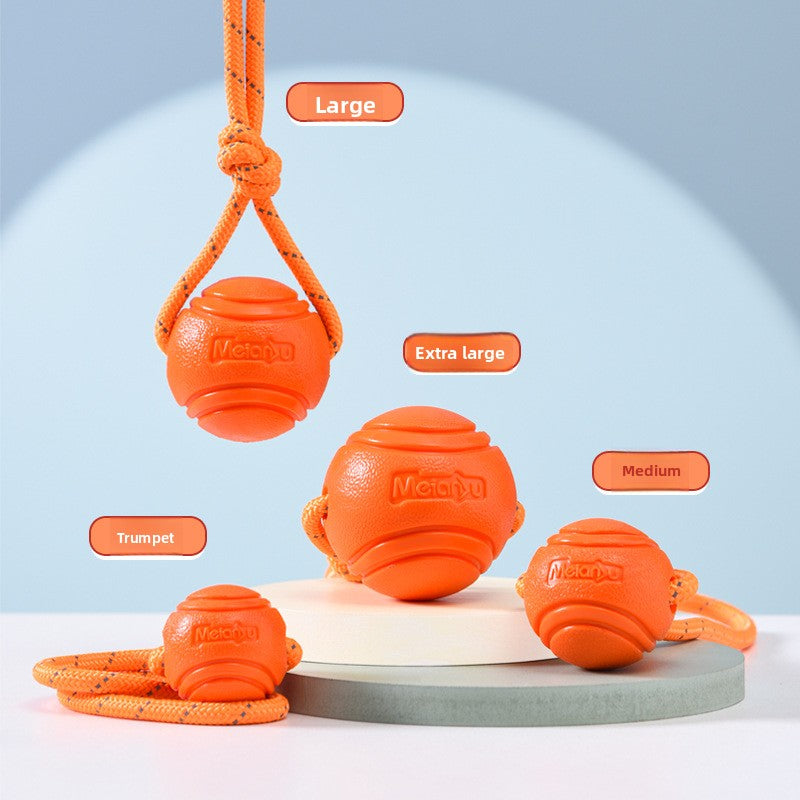 Pet Chew Toy
