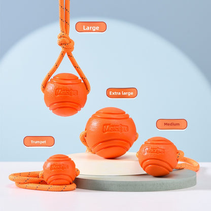 Pet Chew Toy