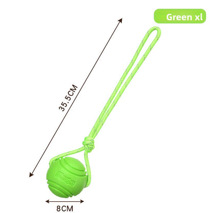 Pet Chew Toy