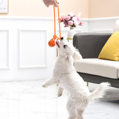 Pet Chew Toy